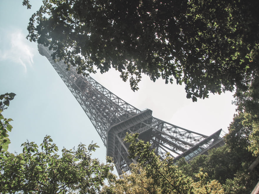 Torre Eiffel em meio às árvores das ruas de Paris