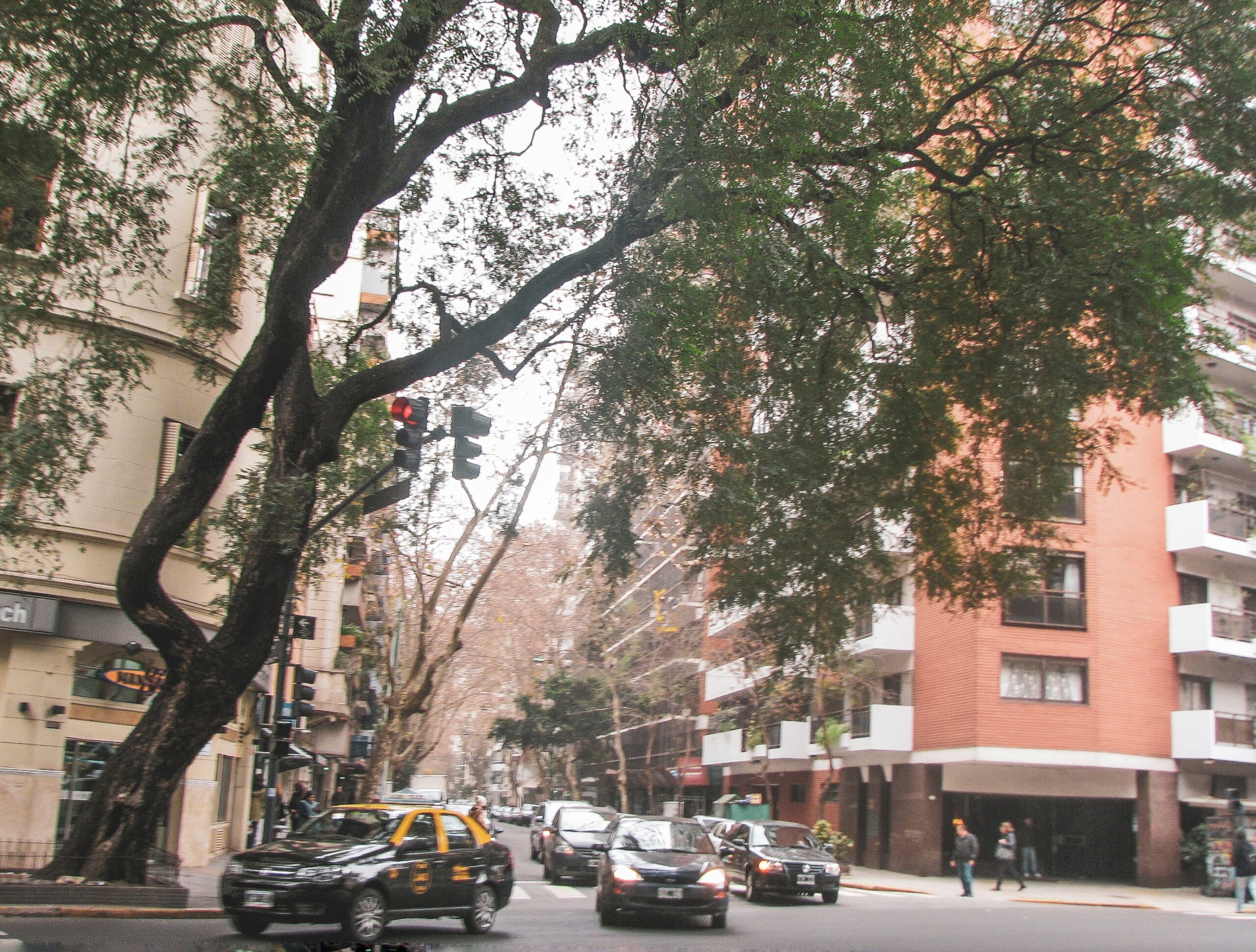 Ruas de Palermo, em Buenos Aires, com árvores, prédios e carros
