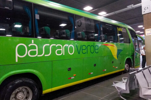 Ônibus verde da Viação Pássaro Verde na rodoviária de Belo Horizonte
