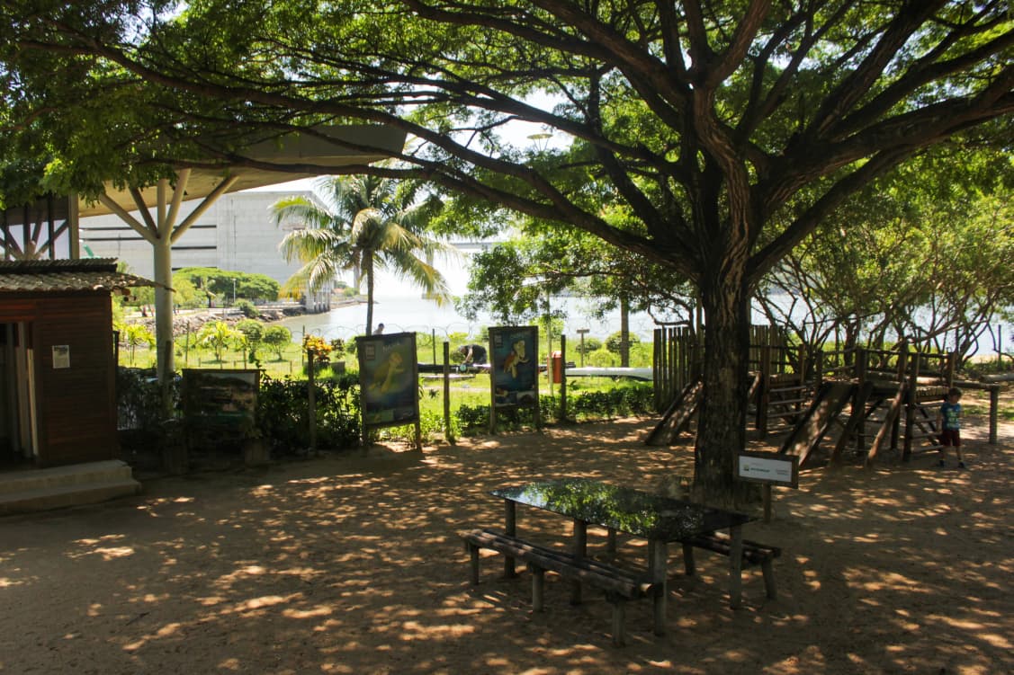 Espaço aberto do Projeto Tamar em Vitória, com bancos, árvores e vista para a Baía de Vitória