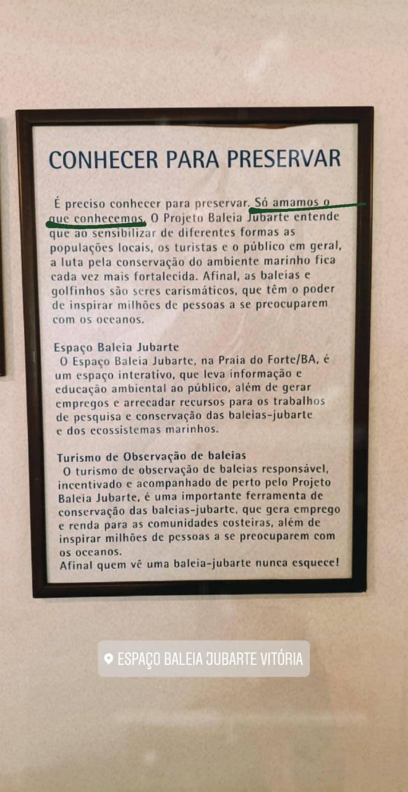Texto sobre exposição fotográfica sobre baleias no Espaço Baleia Jubarte de Vitória